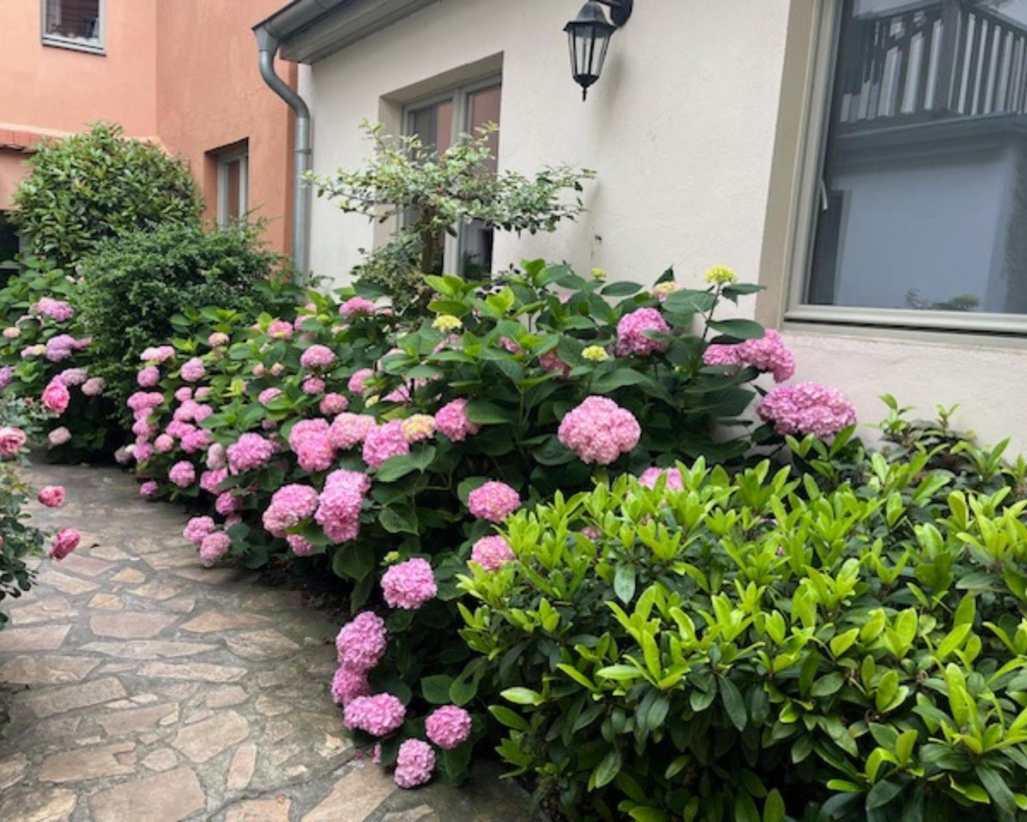 Altstadt-Quartier Stendal Kültér fotó